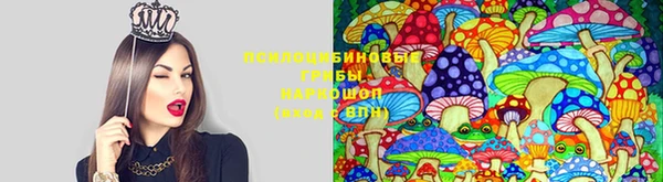 тгк Абаза