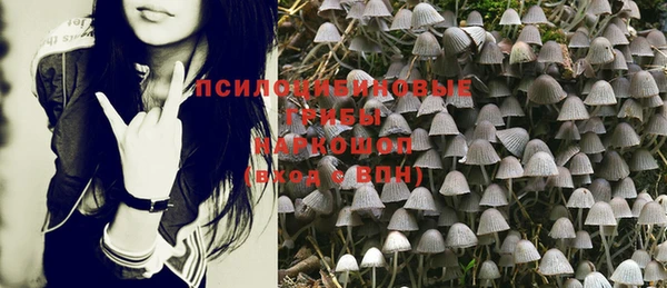 индика Абдулино
