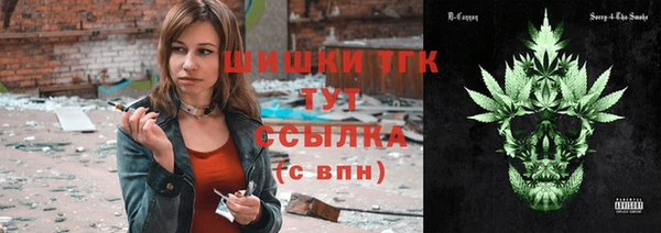 тгк Абаза