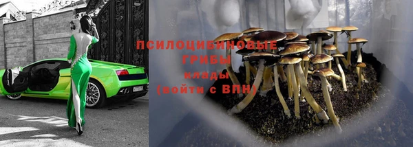 индика Абдулино