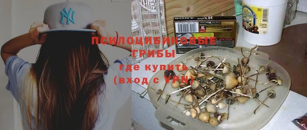 молекула духа Алексеевка