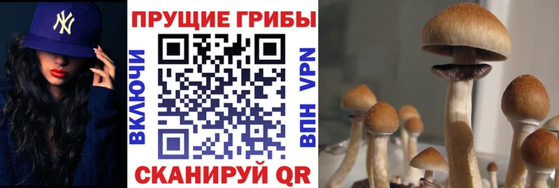 Галлюциногенные грибы MAGIC MUSHROOMS  Каменск-Шахтинский 