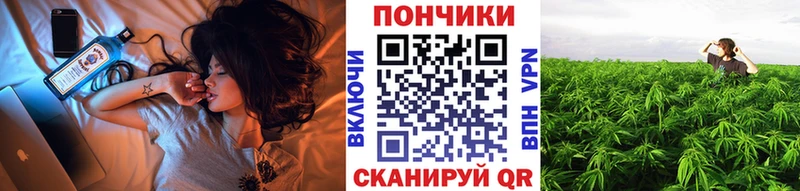 Бошки марихуана THC 21%  ссылка на мегу маркетплейс  сайты даркнета состав  Каменск-Шахтинский 